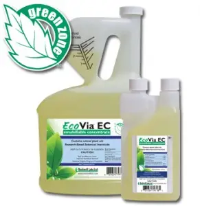 Natural Whitefly Control 1 Natural Whitefly Control