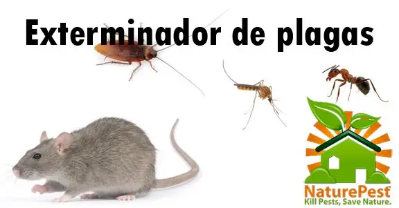 Exterminador de plagas