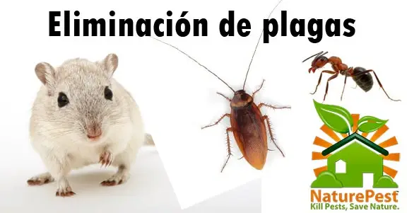 Eliminación de plagas