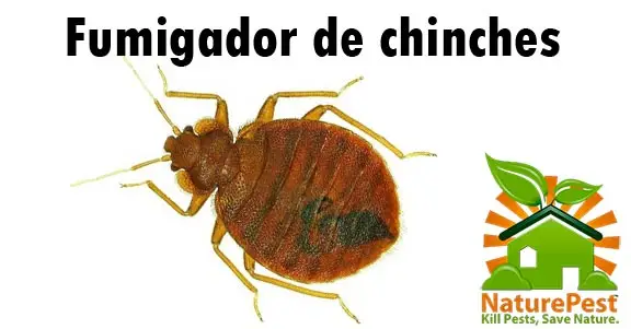 Fumigador de chinches