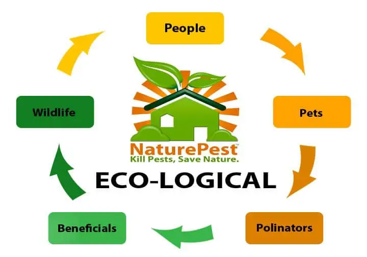 Greener Pest Control 