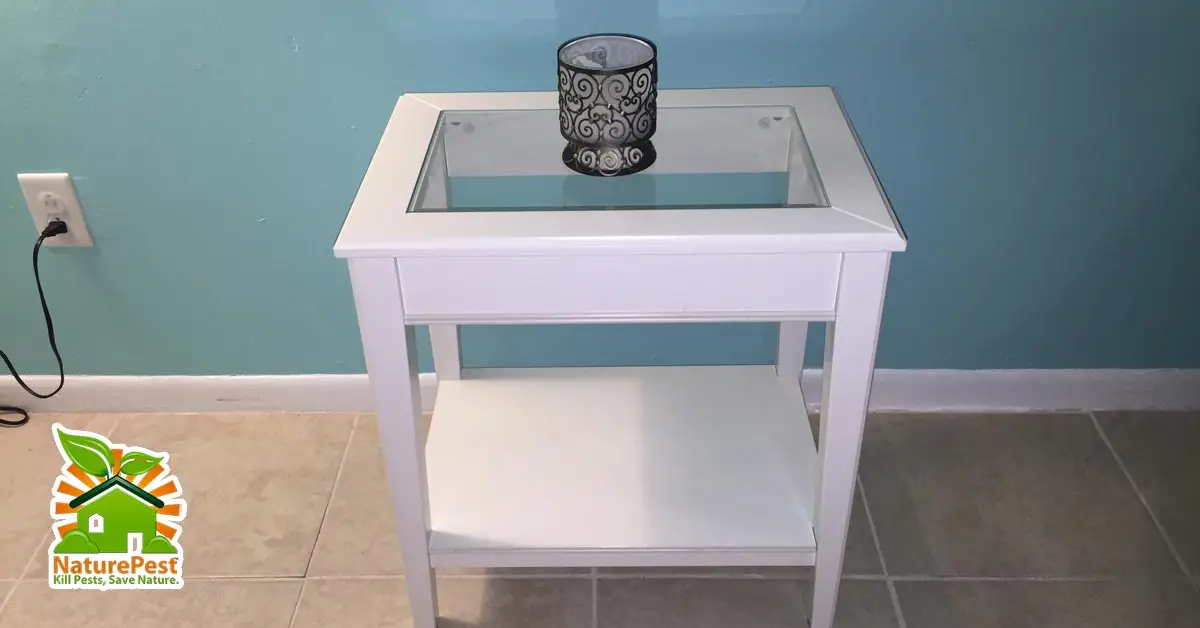 Buying used furniture could get you a serious pest infestation.