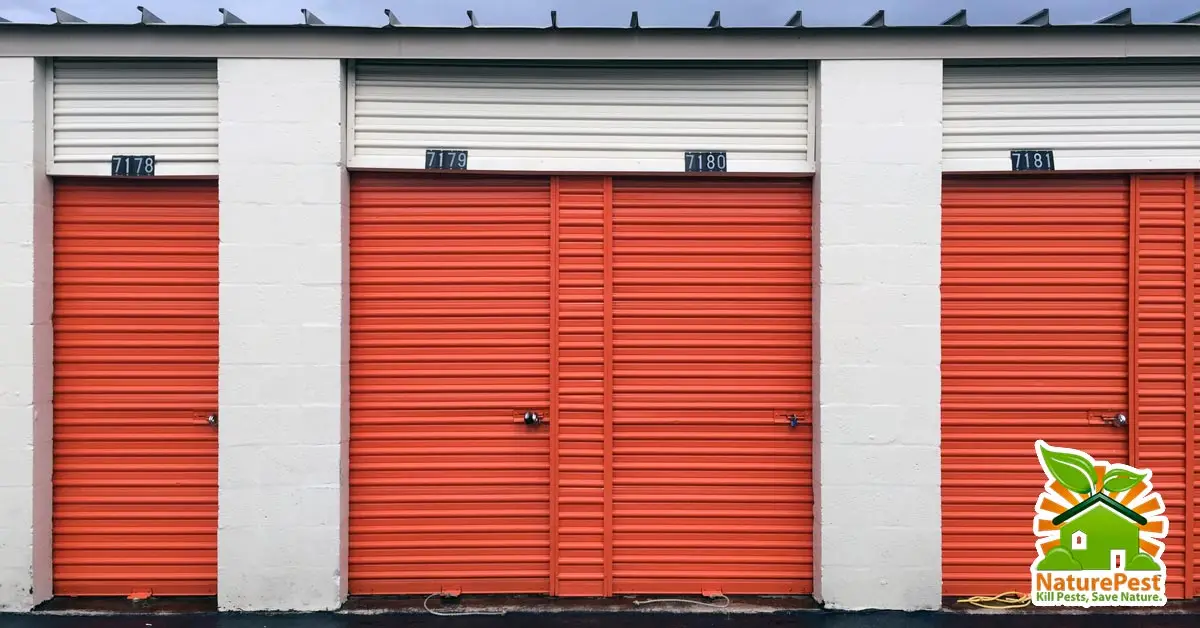 your stuff got bugs while in storage