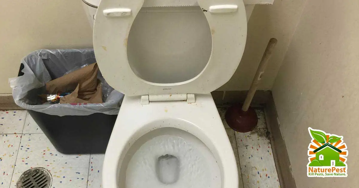 dirty bathrooms are great for breeding pests and losing customers.