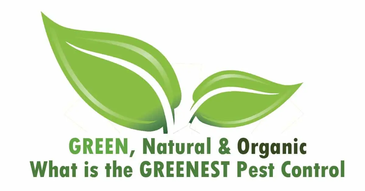 Natural Green or Organic which is the best pest control