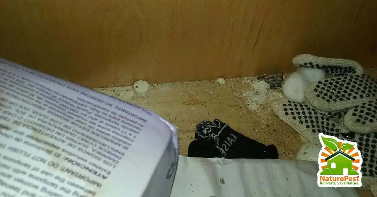 do it yourself pest control