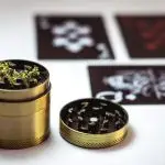Duis cannabis – quis sem tempus enim suscipit