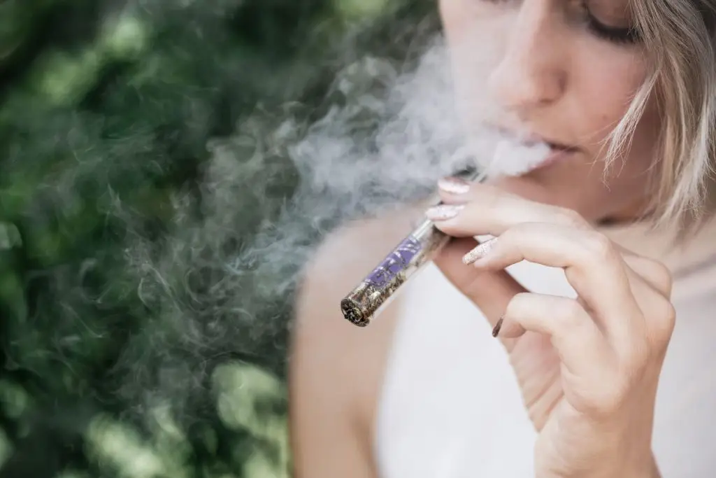 Suspendisse consectetur lorem purus cannabis