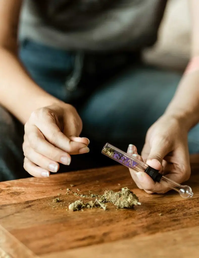 Lorem ipsum cannabis