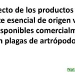 Efecto de los productos de aceite esencial de origen vegetal disponibles comercialmente en plagas de artrópodos.