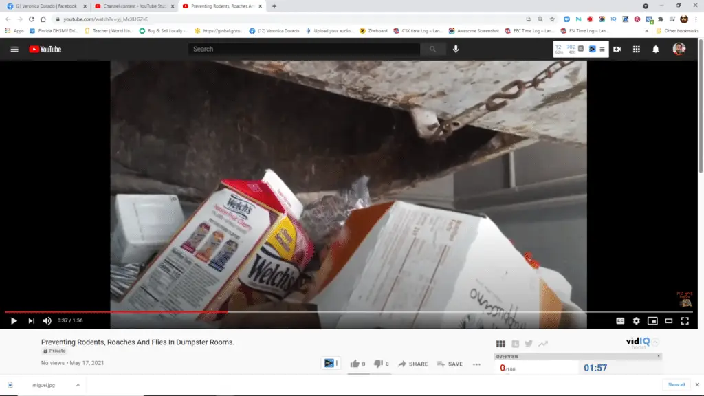 How to Prevent Rodents, Roaches And Flies In Dumpster Rooms.