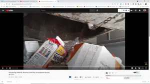 How to Prevent Rodents, Roaches And Flies In Dumpster Rooms. 22 How to Prevent Rodents, Roaches And Flies In Dumpster Rooms.