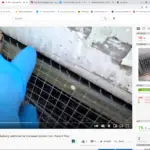 This Is How American Roaches Get Inside Your Building and This Is How Our Exclusion Service Can Prevent That.