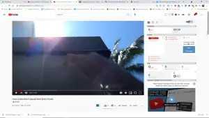 Your New Roof Looks Great But It's Just Created Multiple Pest Entry Points. 16 Your New Roof Looks Great But It’s Just Created Multiple Pest Entry Points.