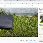 This Is Why Buying Rodenticide Bait Stations For $9 Online Is A Terrible Idea