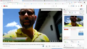 Performing An Initial Inspection On A Newly Installed Zoysia Grass Lawn And Other Landscape Problems