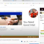 Getting a positive identification where to get the best pest control advice for do it yourself pest