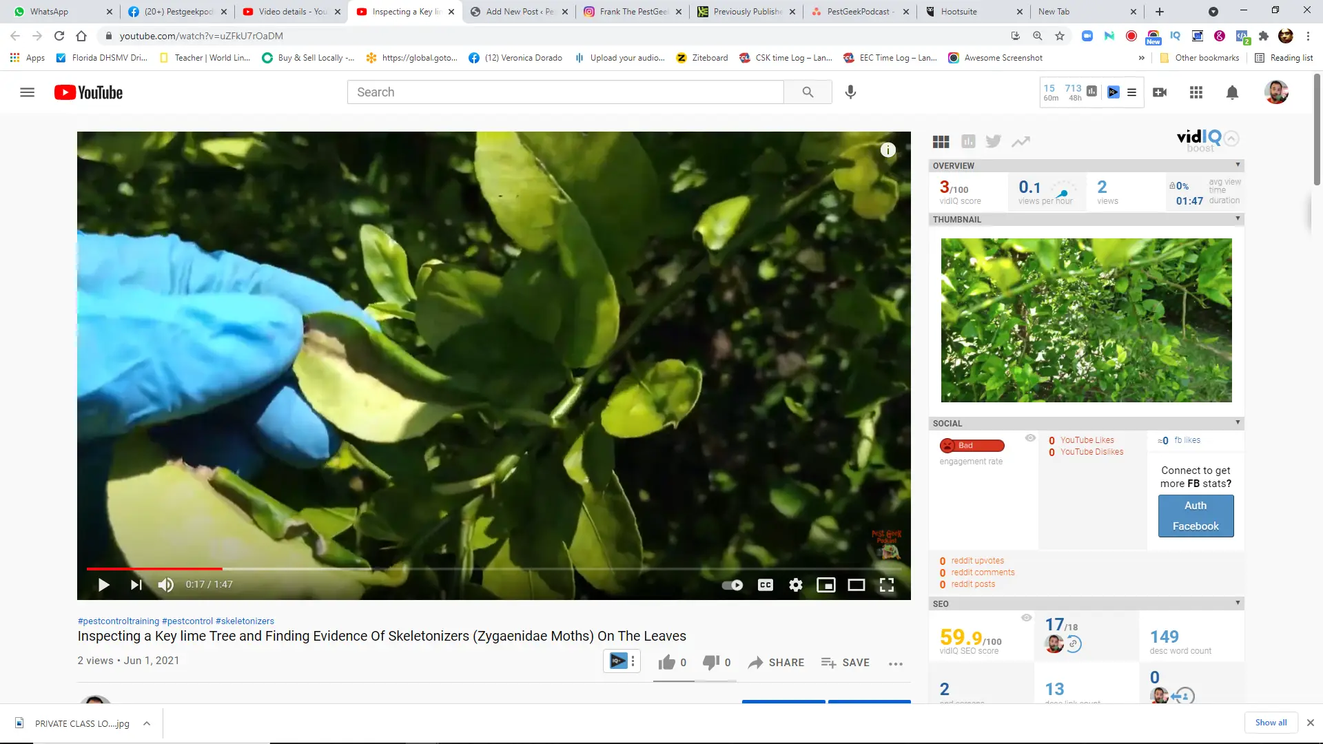 Evidence Of Skeletonizers (Zygaenidae Moths) On The Leaves Of A Key Lime Tree