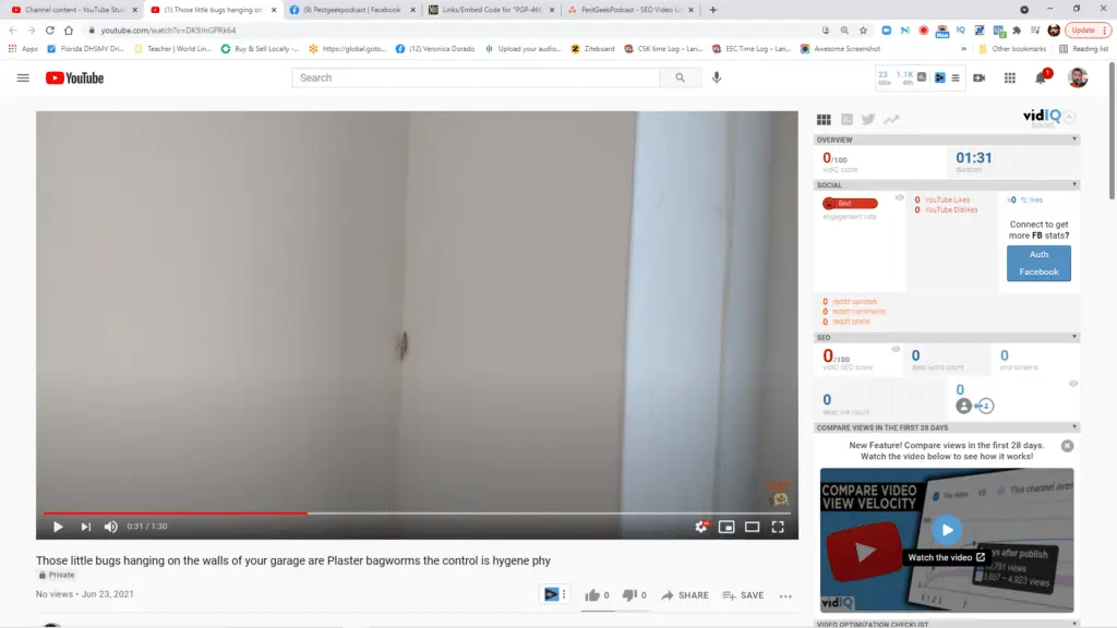 How to Remove Those little bugs hanging on the walls of your garage (Plaster bagworms) with a vacuum or brush: Naturepest Tutorial.