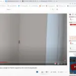 How to Remove Those little bugs hanging on the walls of your garage (Plaster bagworms) with a vacuum or brush: Naturepest Tutorial.