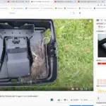 We Use This Rat Trap Combination -Ambush Rat Station and Trapper T-rex- To Ensure Safety at Naturepest