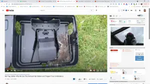 We Use This Rat Trap Combination -Ambush Rat Station and Trapper T-rex- To Ensure Safety at Naturepest