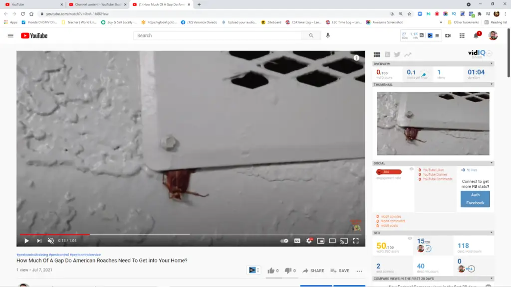 American Roaches Only Need This Much Gap To Get Into Your Home