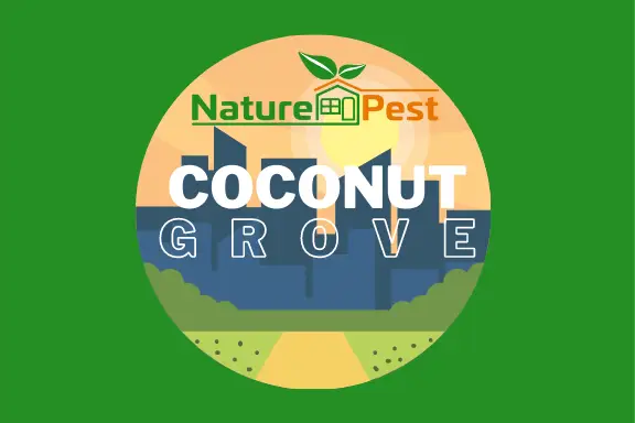 Naturepest Coconut Grove