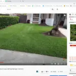 How You Can Get A Beautiful Green Lawn Without The Need For Nitrogen Fertilizer.
