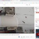 Using Bait On Glue boards In Trash Room Sprayed With Pyrethroid: Integrated Pest Control Miami