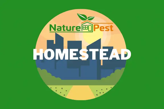 pest control homestead