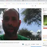 lawn care