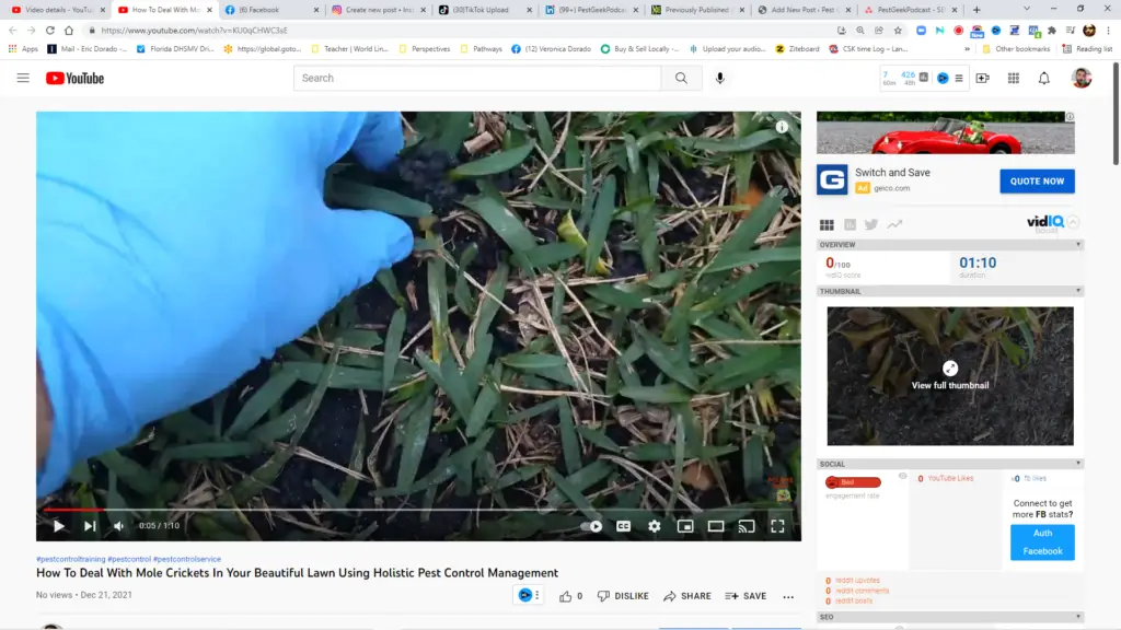 How Naturepest Holistic Pest Control Deals With Mole Crickets In Beautiful Miami Lawn