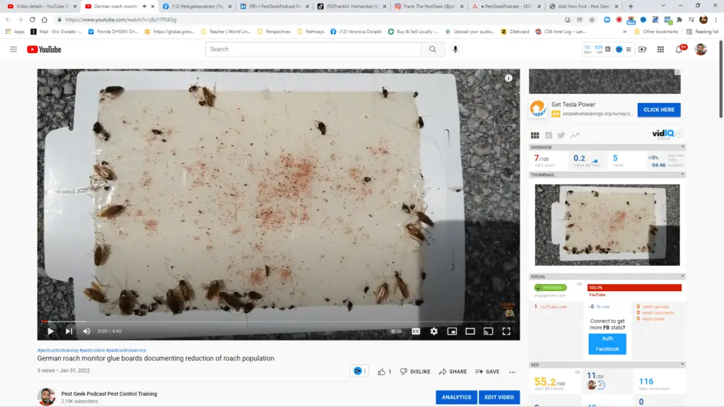 How To Use Glue Boards To Document German Roach Reduction In Your Home