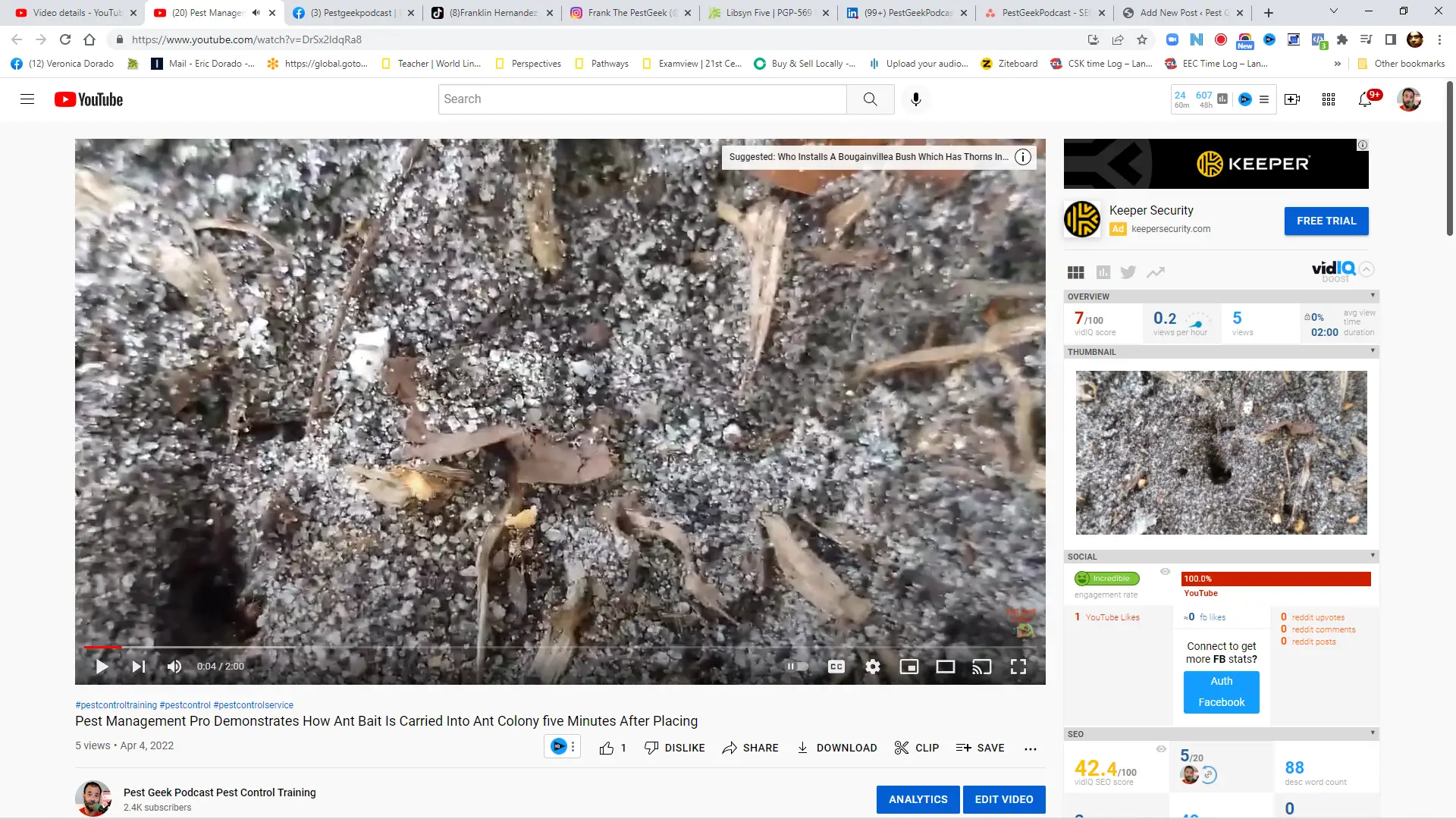 Watch How Bait Is Carried Into Ant Colony 5 Minutes After Integrated Pest Control Professional Places Bait