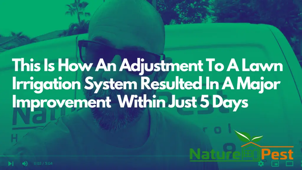 How An Adjustment To Your Lawn Irrigation System May Result In A Major Improvement In Just 5 Days!