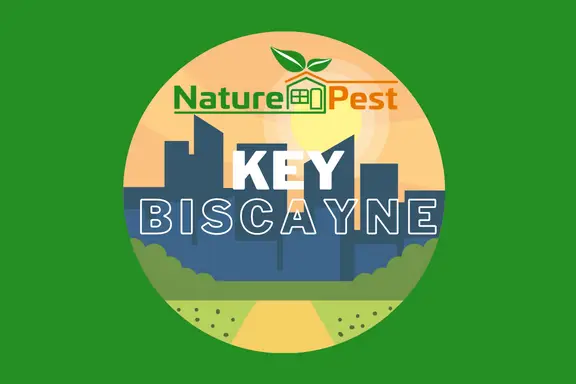Key Biscayne Pest Control