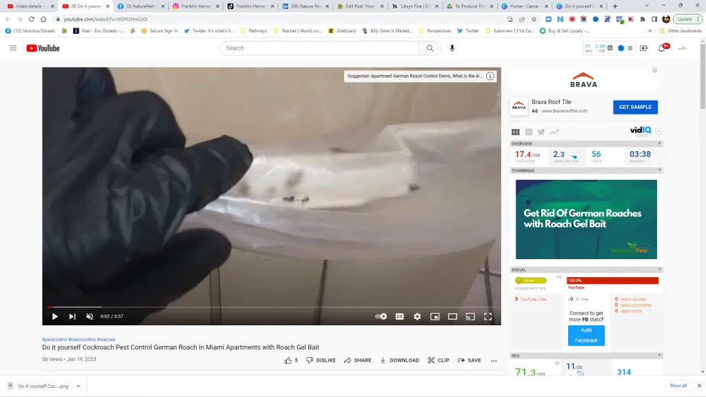 How To Do It Yourself Cockroach Pest Control: German Roach In Miami Apartments with Roach Gel Bait