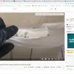 How To Do It Yourself Cockroach Pest Control: German Roach In Miami Apartments with Roach Gel Bait
