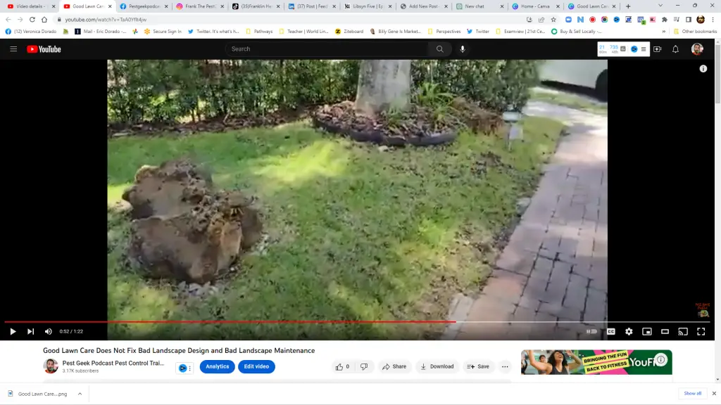 5 annoying St Augustine lawn care mistakes you need to avoid