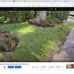 5 annoying St Augustine lawn care mistakes you need to avoid