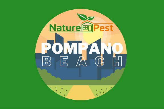 pest control pompano beach