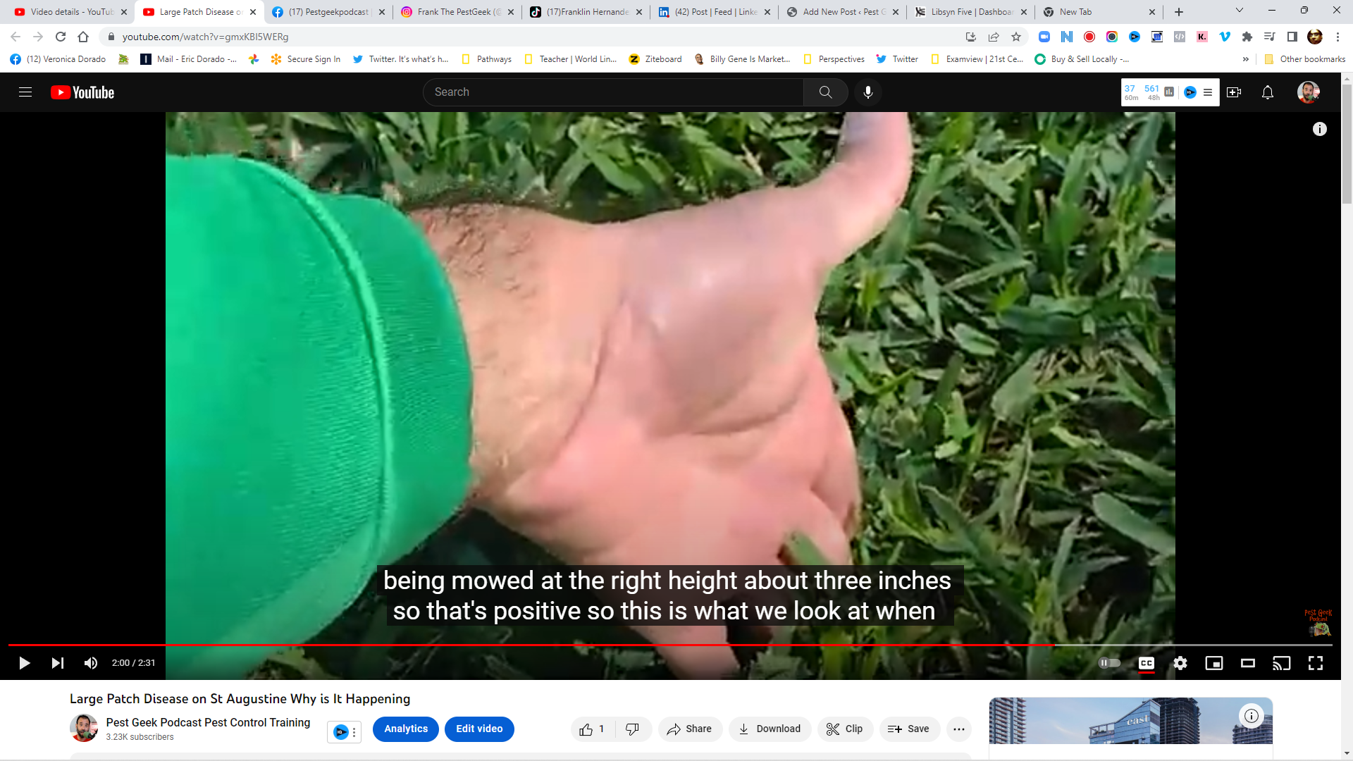 Discover the Culprit Behind St Augustine Grass Patch Disease