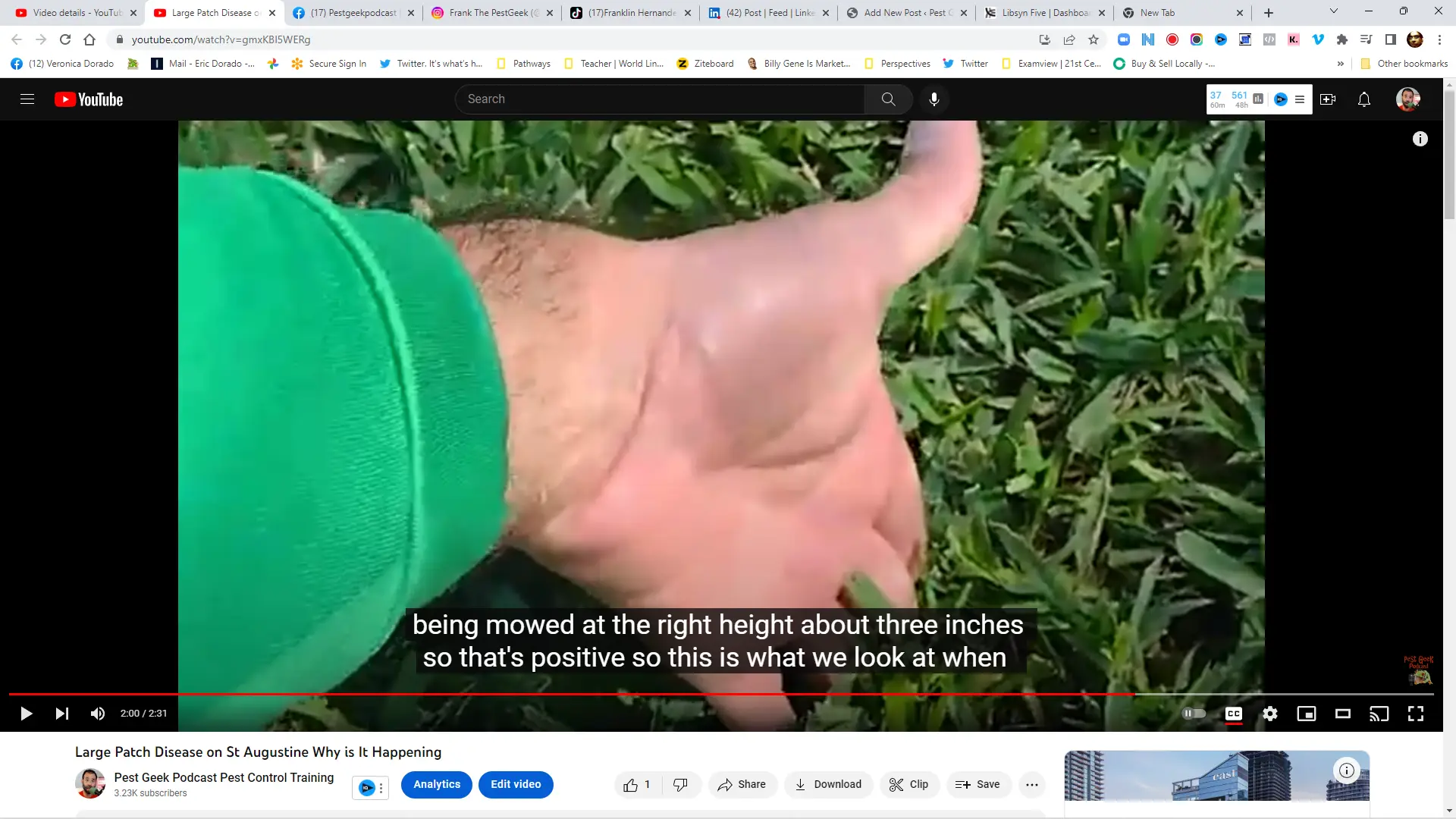 Discover the Culprit Behind St Augustine Grass Patch Disease