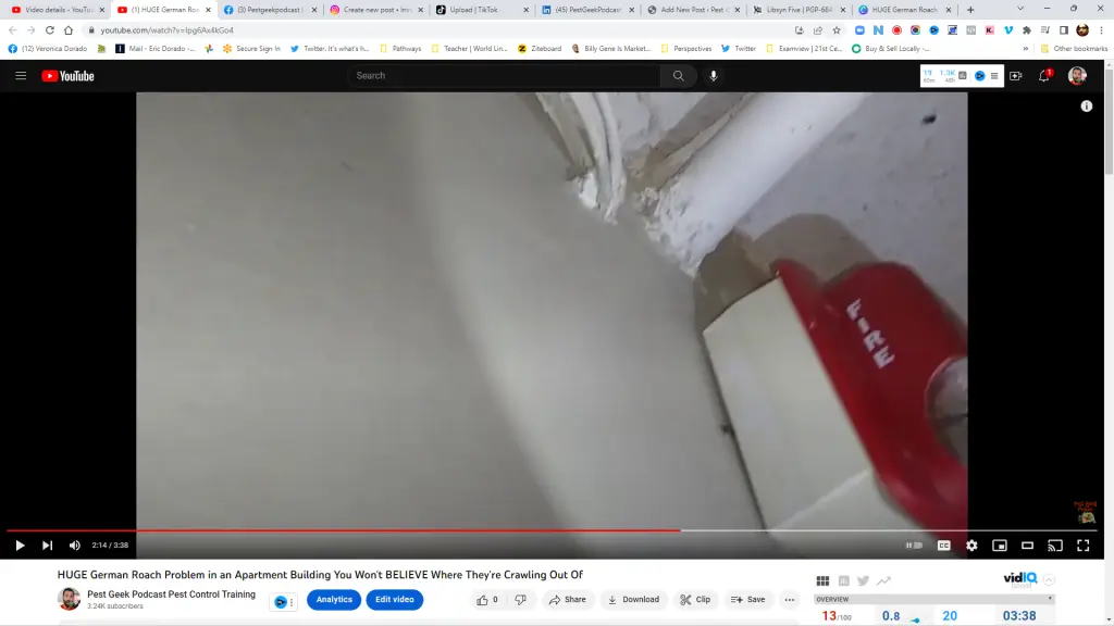 German Roach Infestation Caught on Camera