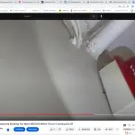 German Roach Infestation Caught on Camera