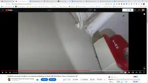 German Roach Infestation Caught on Camera