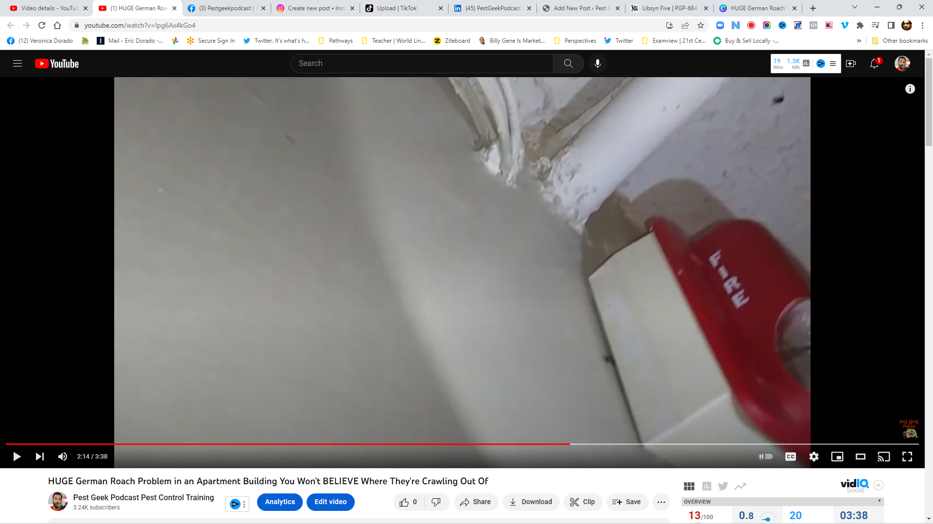 Gross German Roach Infestation Caught on Camera - You Won't Believe What Happens Next!