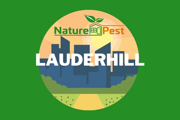 Pest Control Lauderhill Fl