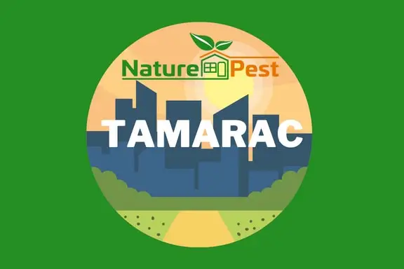 pest control tamarac